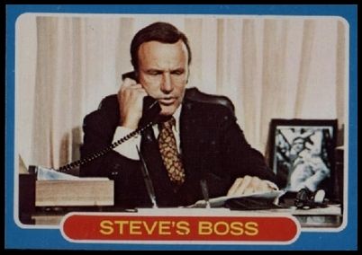 7 Steve's Boss